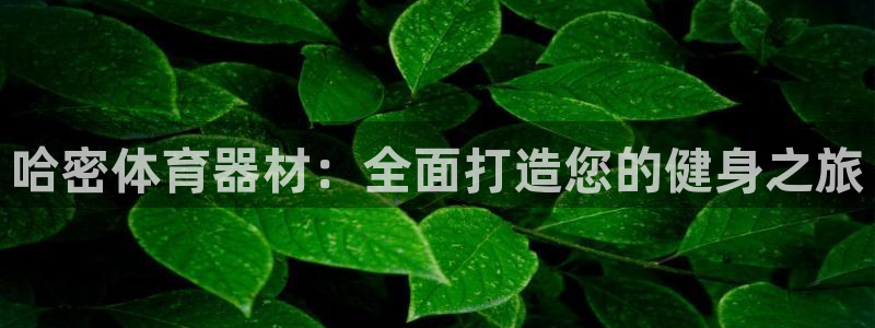 極悅平臺注冊官方網站下載手機版：哈密體育器材：全面打