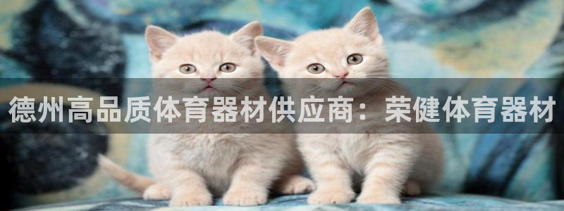 極悅娛樂官網入口網址：德州高品質體育器材供應商：榮健
