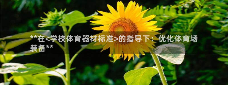 極悅娛樂掛機賺錢是真的嗎安全嗎：**在<學校體育器材