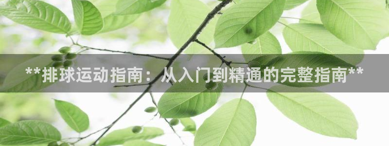 極悅娛樂的最新版本更新內容：**排球運動指南：從入門