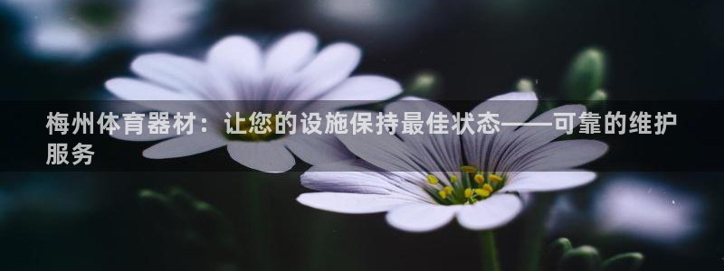 極悅娛樂會被騙嗎安全嗎：梅州體育器材：讓您的設施保持