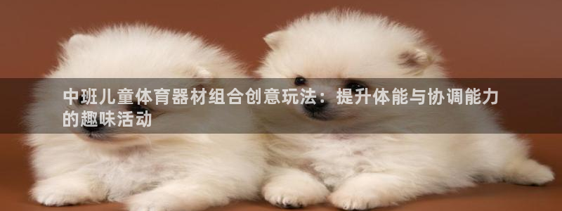 極悅平臺使用教程圖片：中班兒童體育器材組合創意玩法：