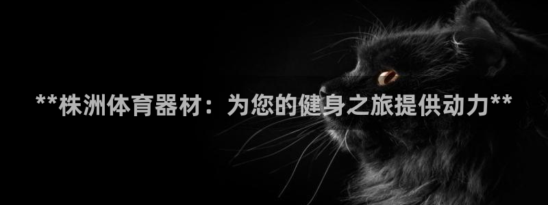 極悅牙膏好嗎：**株洲體育器材：為您的健身之旅提供動