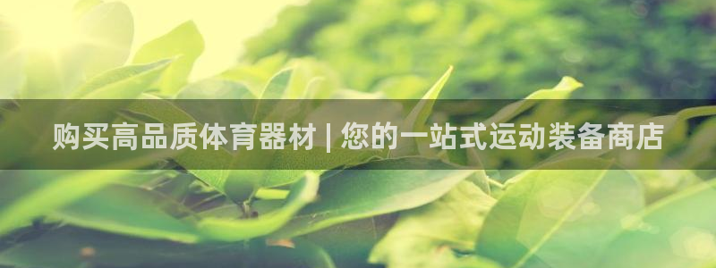 極悅平臺注冊申請流程詳解圖：購買高品質體育器材 | 