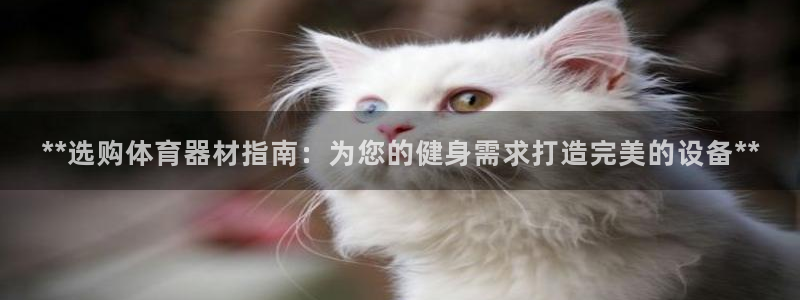 極悅平臺注冊官方網站下載安裝手機版：**選購體育器材