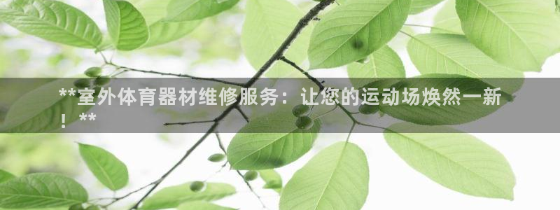 極悅平臺登錄最新版本更新內容是什么：**室外體育器材