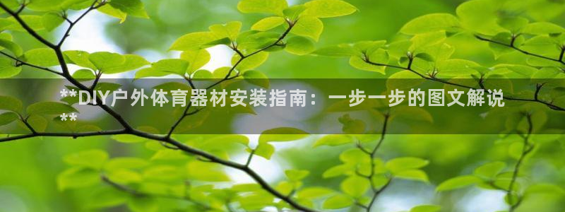 極悅娛樂會被騙嗎安全嗎：**DIY戶外體育器材安裝指