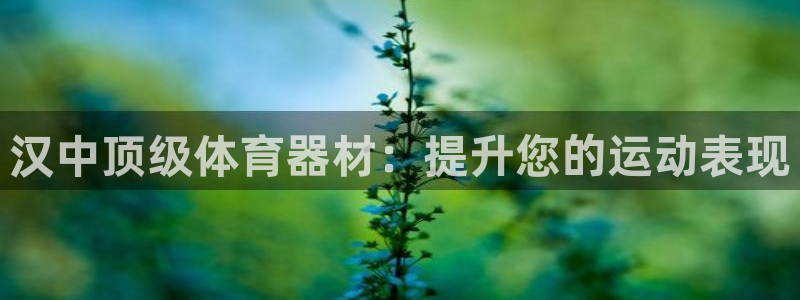 極悅平臺app安全嗎是真的嗎：漢中頂級體育器材：提升