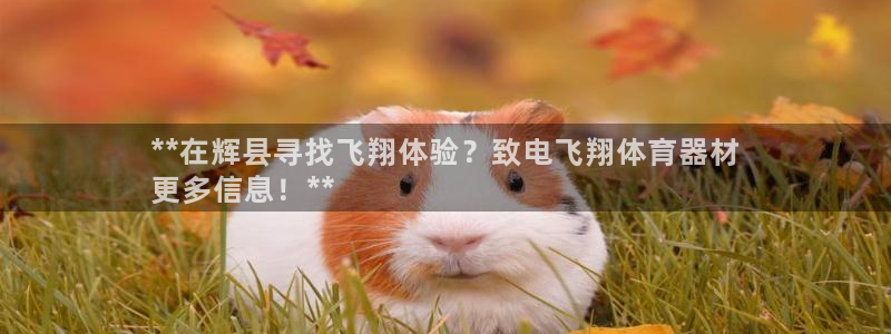 極悅官網注冊最新版本更新內容在哪：**在輝縣尋找飛翔