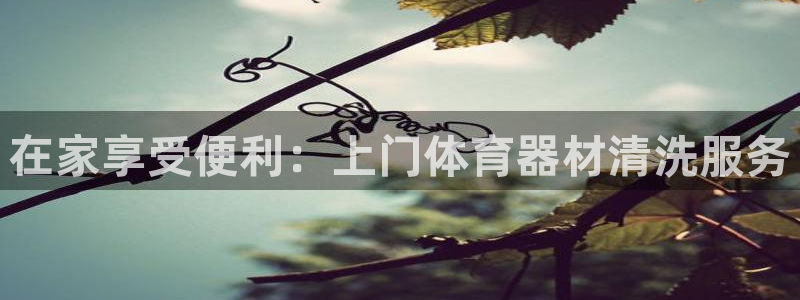 極悅平臺app二維碼怎么弄到桌面：在家享受便利：上門