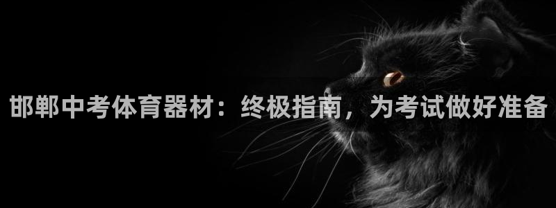 極悅平臺是干什么的：邯鄲中考體育器材：終極指南，為考