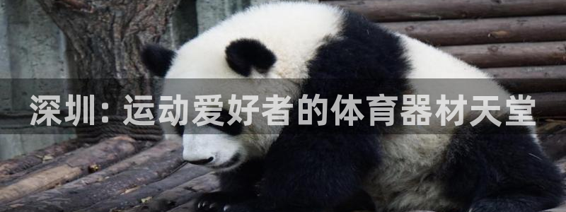 極悅平臺app二維碼怎么弄到桌面：深圳: 運動愛好者