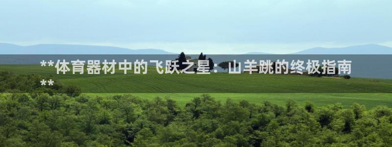極悅平臺官網登錄最新版本更新內容介紹：**體育器材中