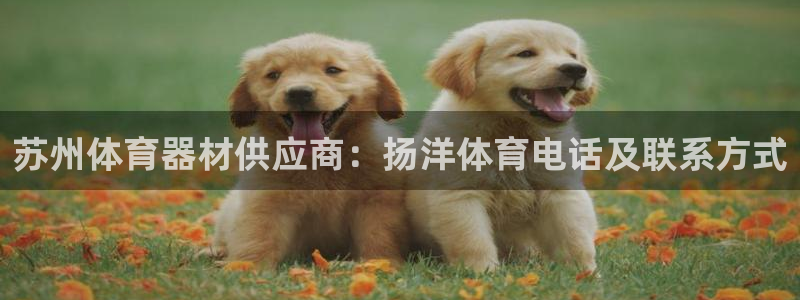 極悅平臺登錄人7.0.2.4登錄入口：蘇州體育器材供