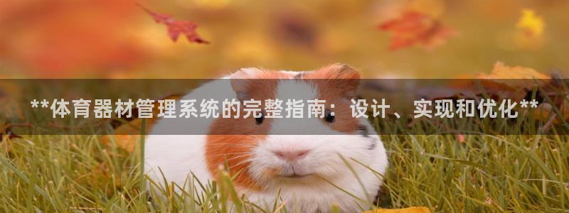 極悅平臺代理怎么賺錢：**體育器材管理系統的完整指南