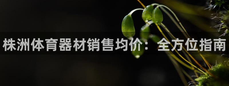 極悅平臺用戶評價在哪里看：株洲體育器材銷售均價：全方