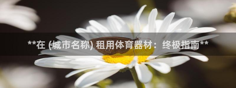 極悅平臺和藍獅平臺區別：**在 (城市名稱) 租用體
