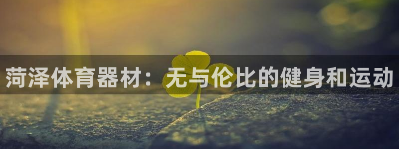 極悅平臺注冊登錄入口官網：菏澤體育器材：無與倫比的健