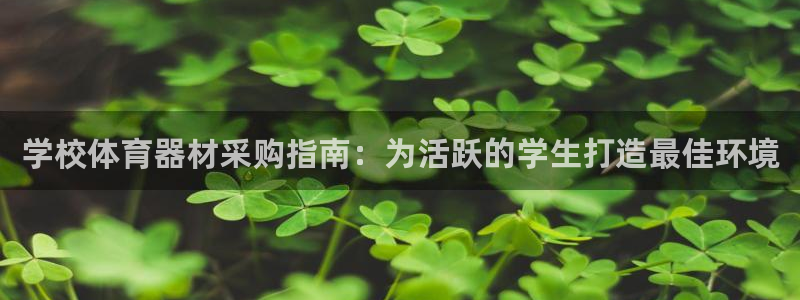 加盟極悅教育怎么樣：學校體育器材采購指南：為活躍的學